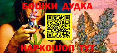 гашик Пыть-Ях